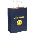 10x13 Merchandise Paper Bag - ColorVista